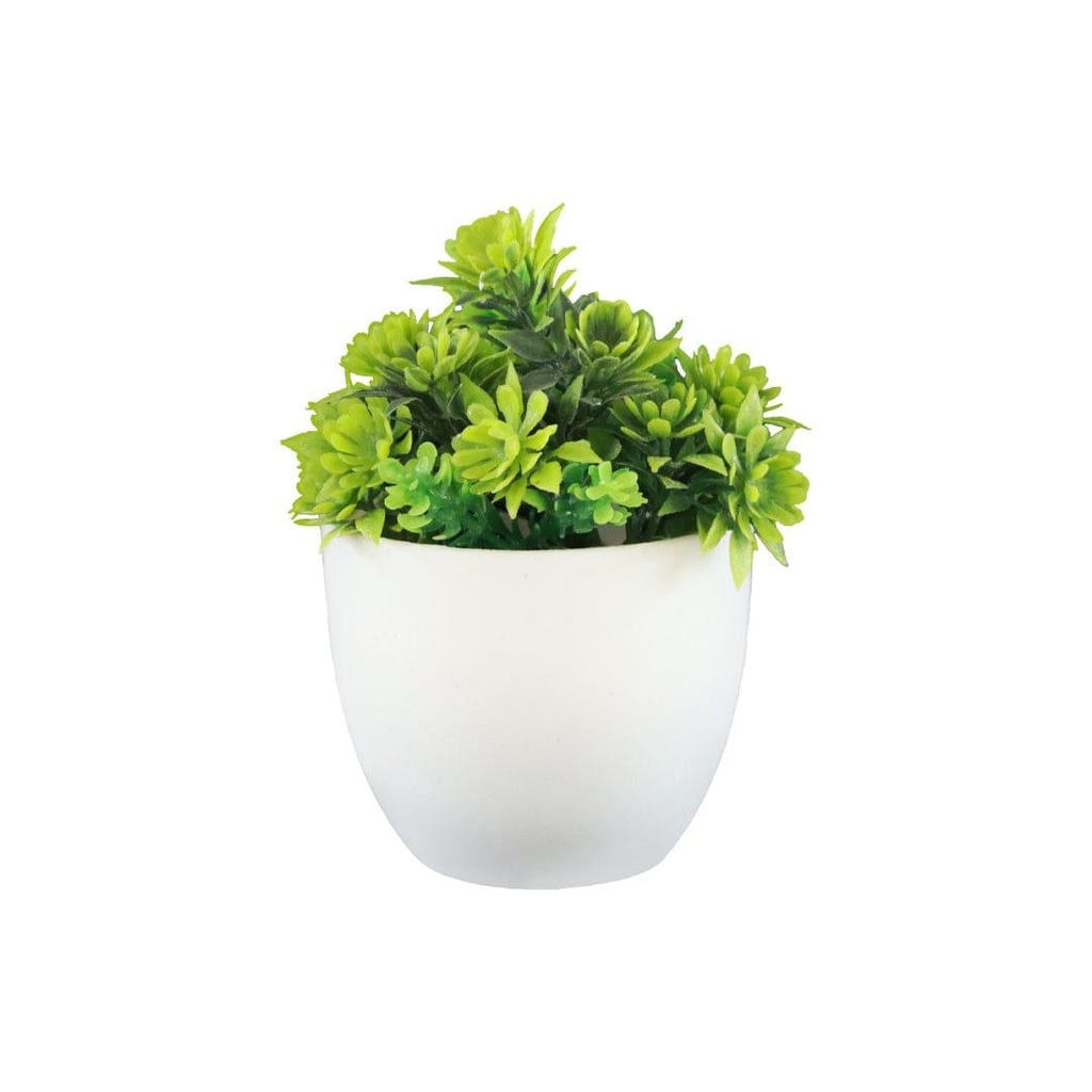 Minishrubgreen_primaryimage.jpg