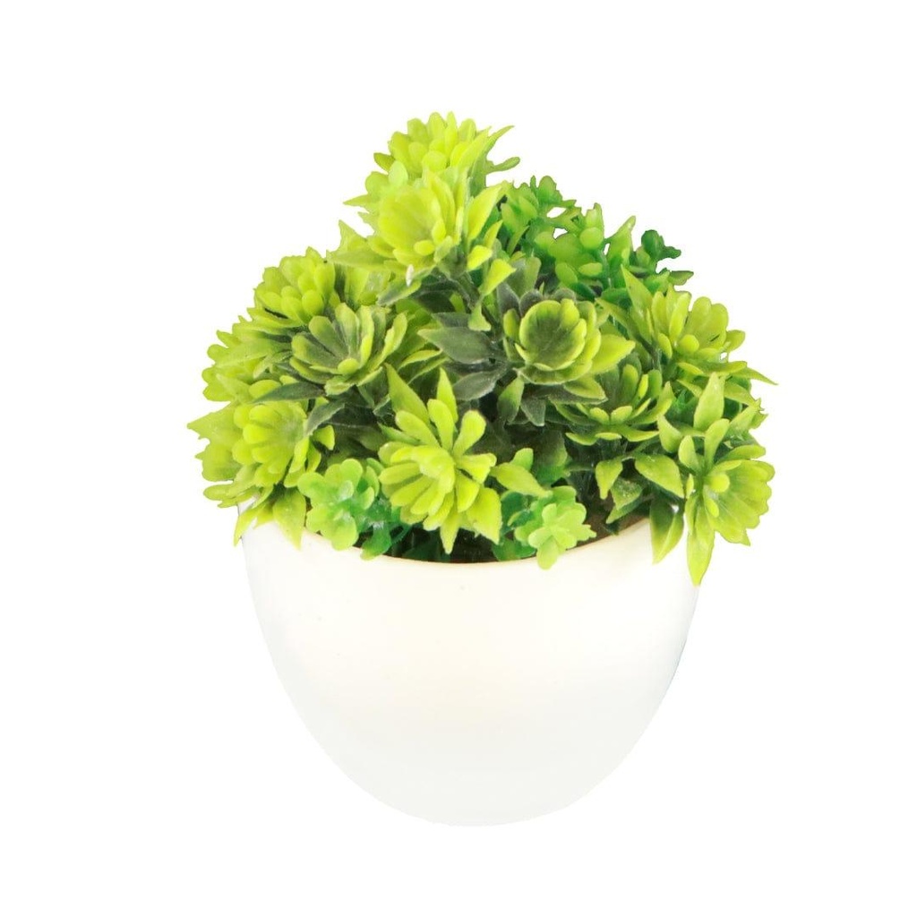 Minishrubgreen_primaryimage_2.jpg