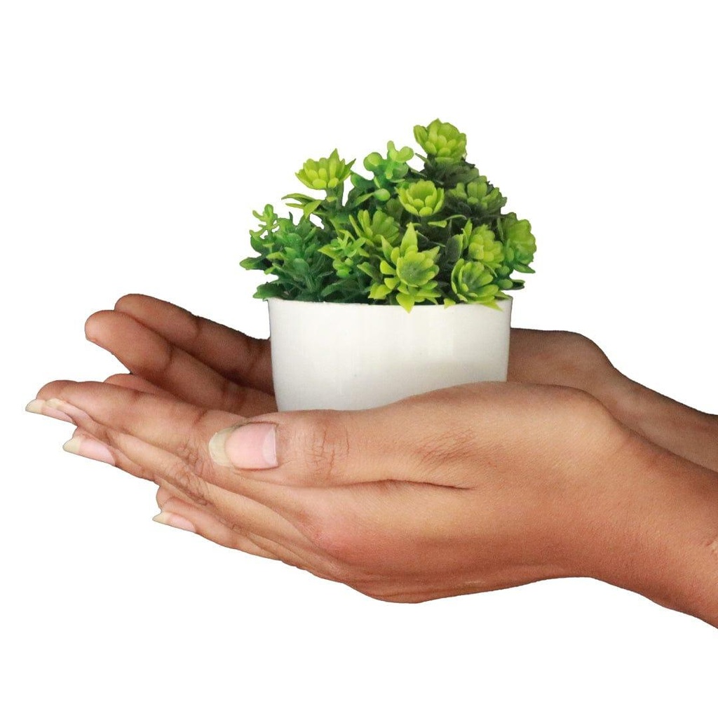 Minishrubgreen_primaryimage_3.jpg