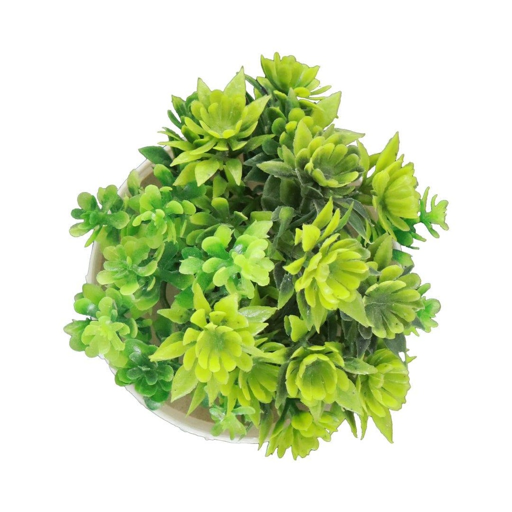 Minishrubgreen_primaryimage_4.jpg