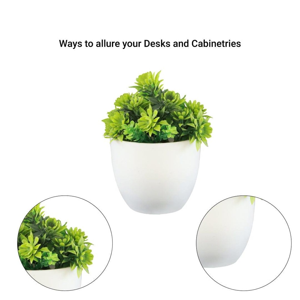Mini-shrub-green_details-image.jpg