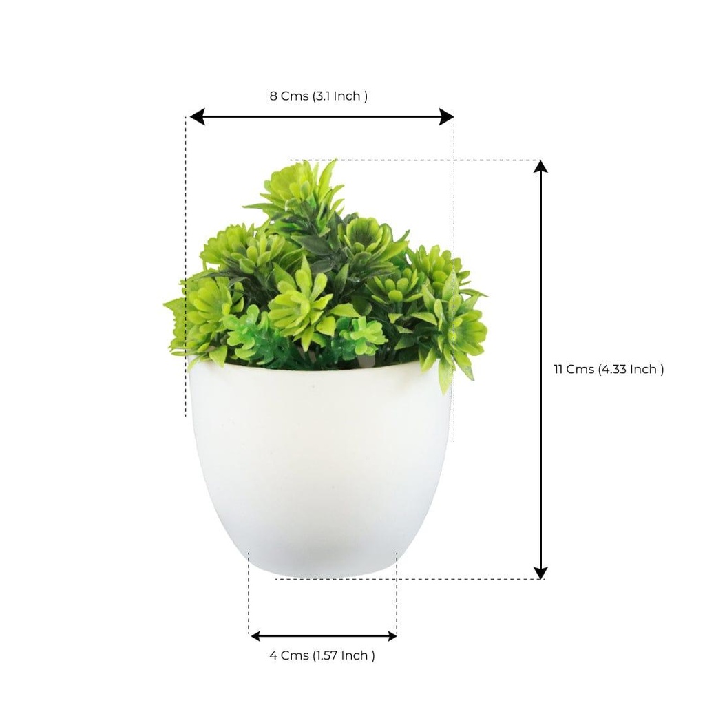 Mini-shrub-green_dimension_1.jpg