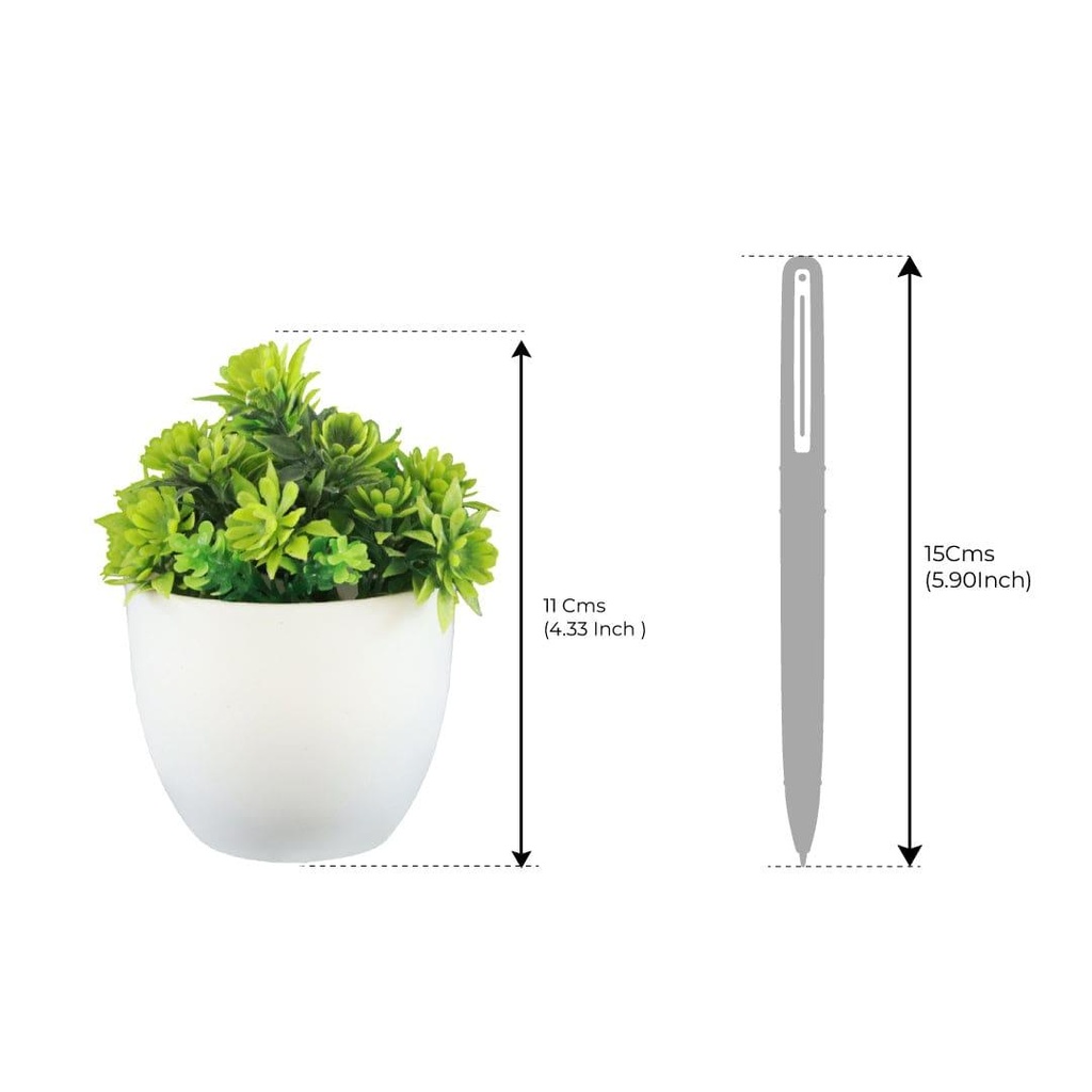 Mini-shrub-green_dimension_2.jpg