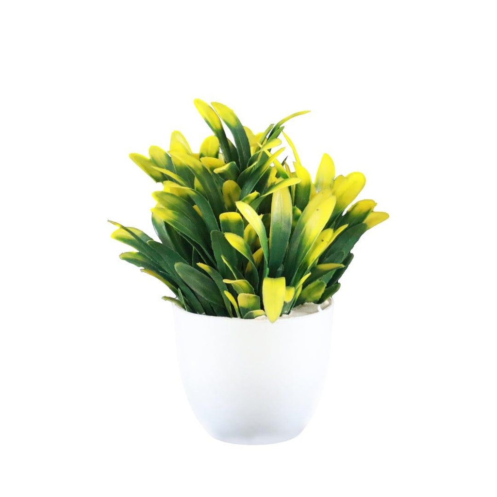 Pottedbellshrub_primaryimage_1.jpg