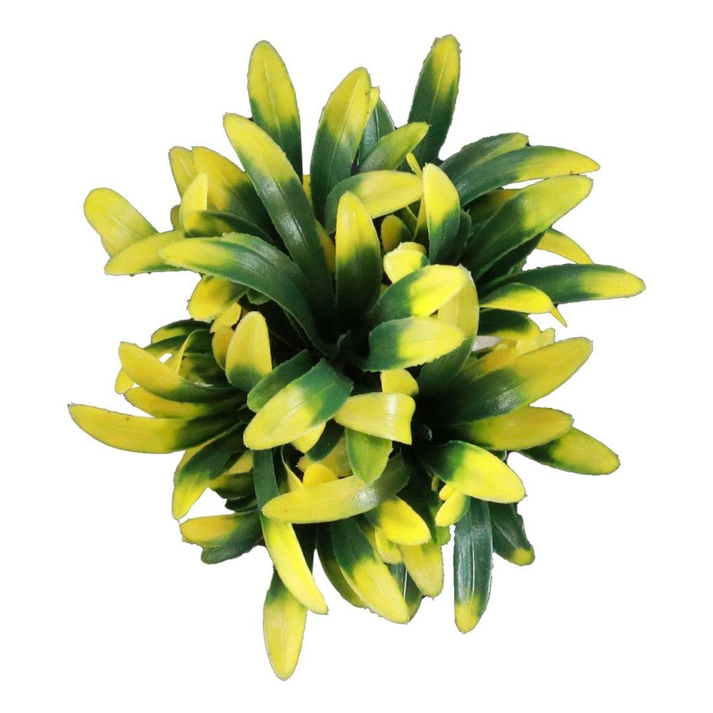 12_bellminishrub_primaryimage_4.jpg
