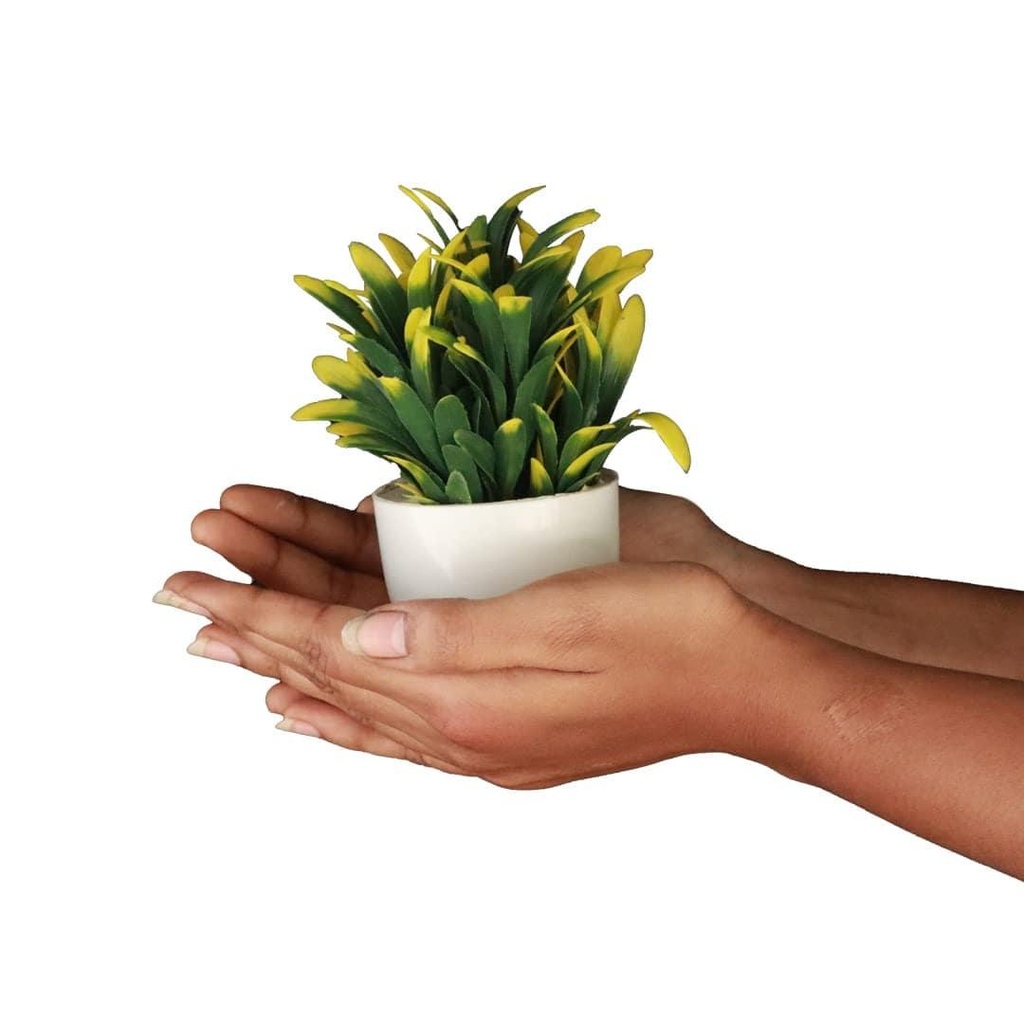 Bellshrub.jpg