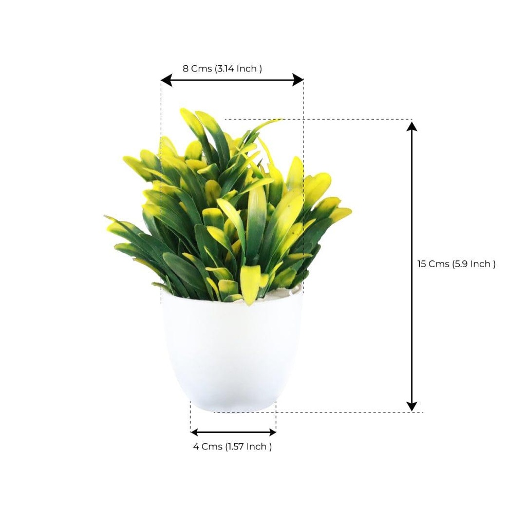potted-bell-shrub.jpg