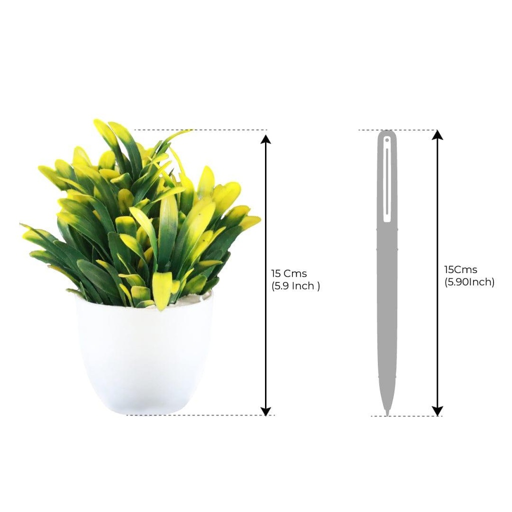 potted-bell-shrub_dimension_02.jpg