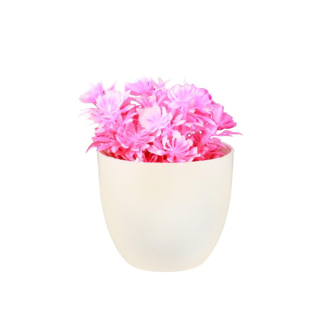 pinkshrub_primaryimage_01.jpg