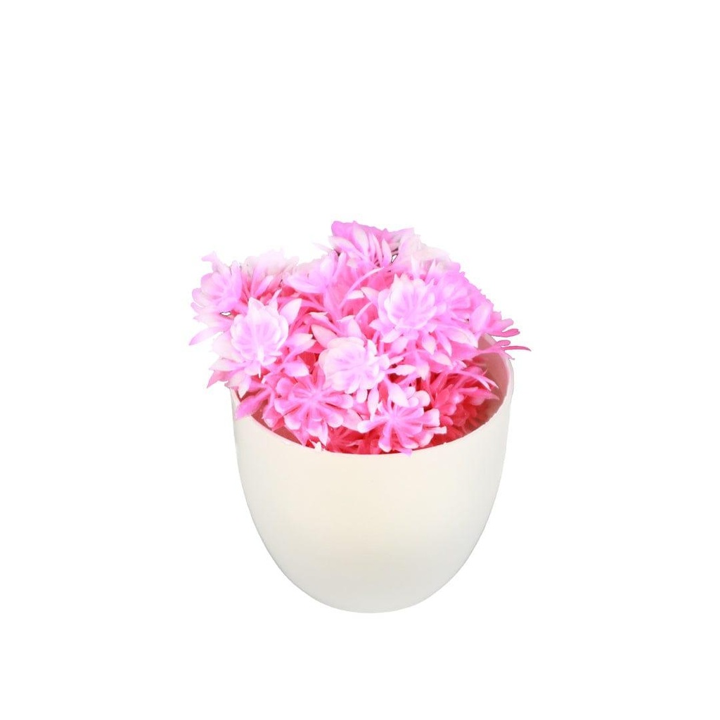 pinkshrub_primaryimage_02.jpg