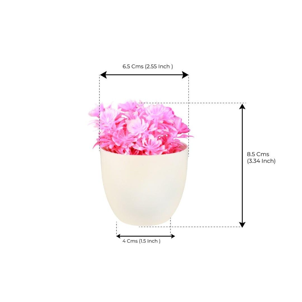 pinkshrub_dimensions_01.jpg