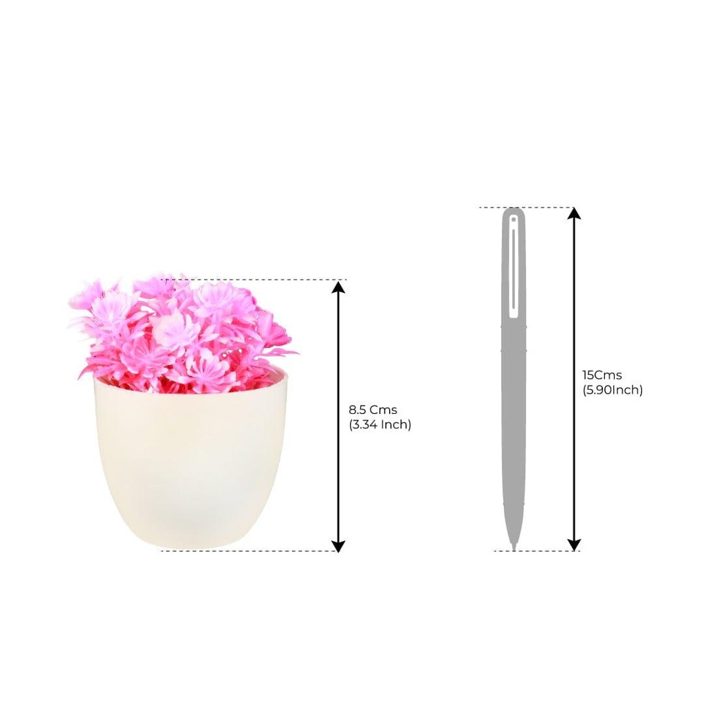pinkshrub_dimensions_02.jpg