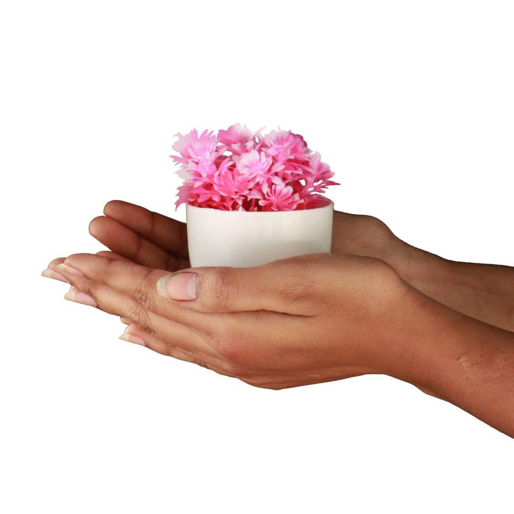 pinkshrub_primaryimage_03.jpg