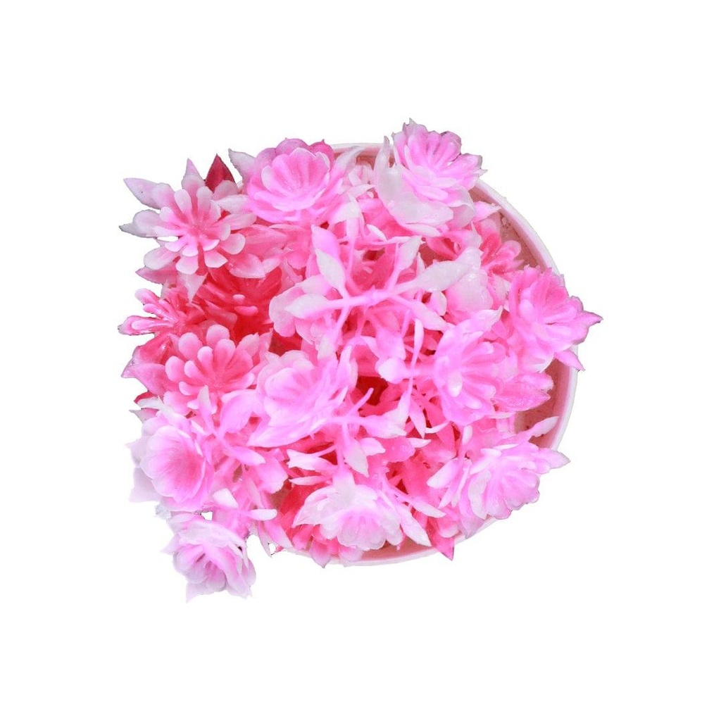 pinkshrub_primaryimage_04.jpg