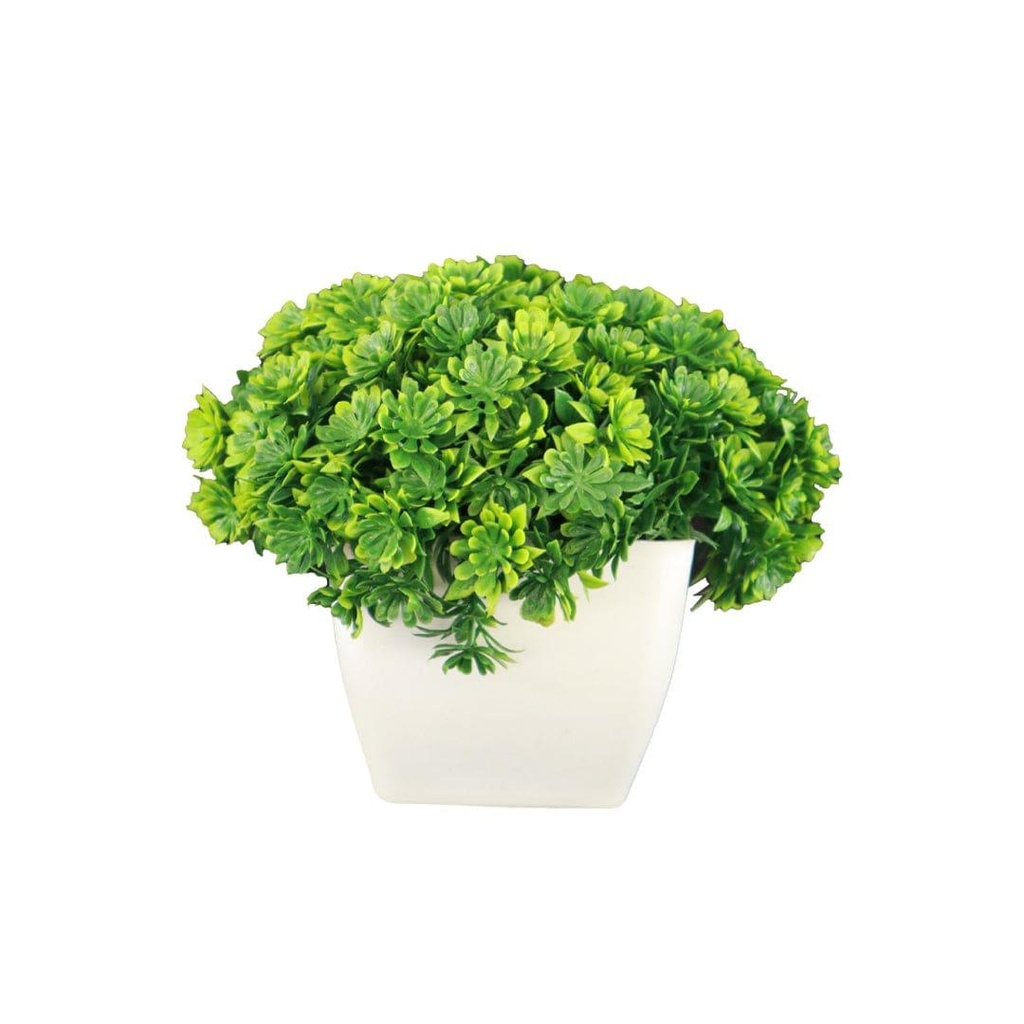mushroomshrubGreen_primaryimage_01.jpg