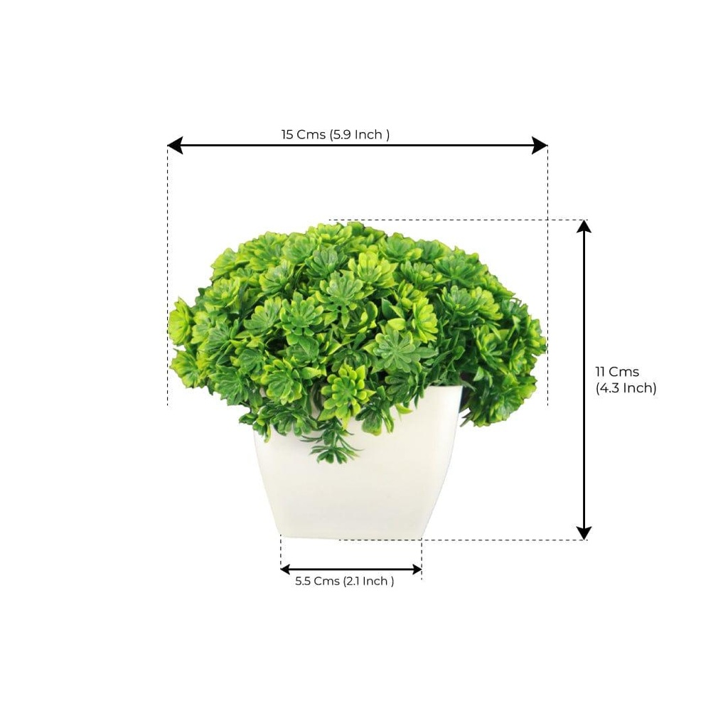 mushroomshrubGreen_dimensions_01.jpg