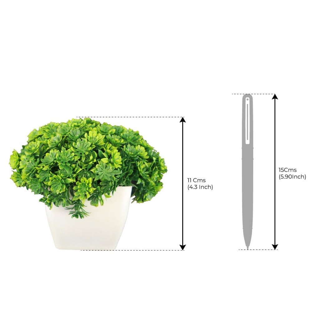 mushroomshrubGreen_dimensions_02.jpg