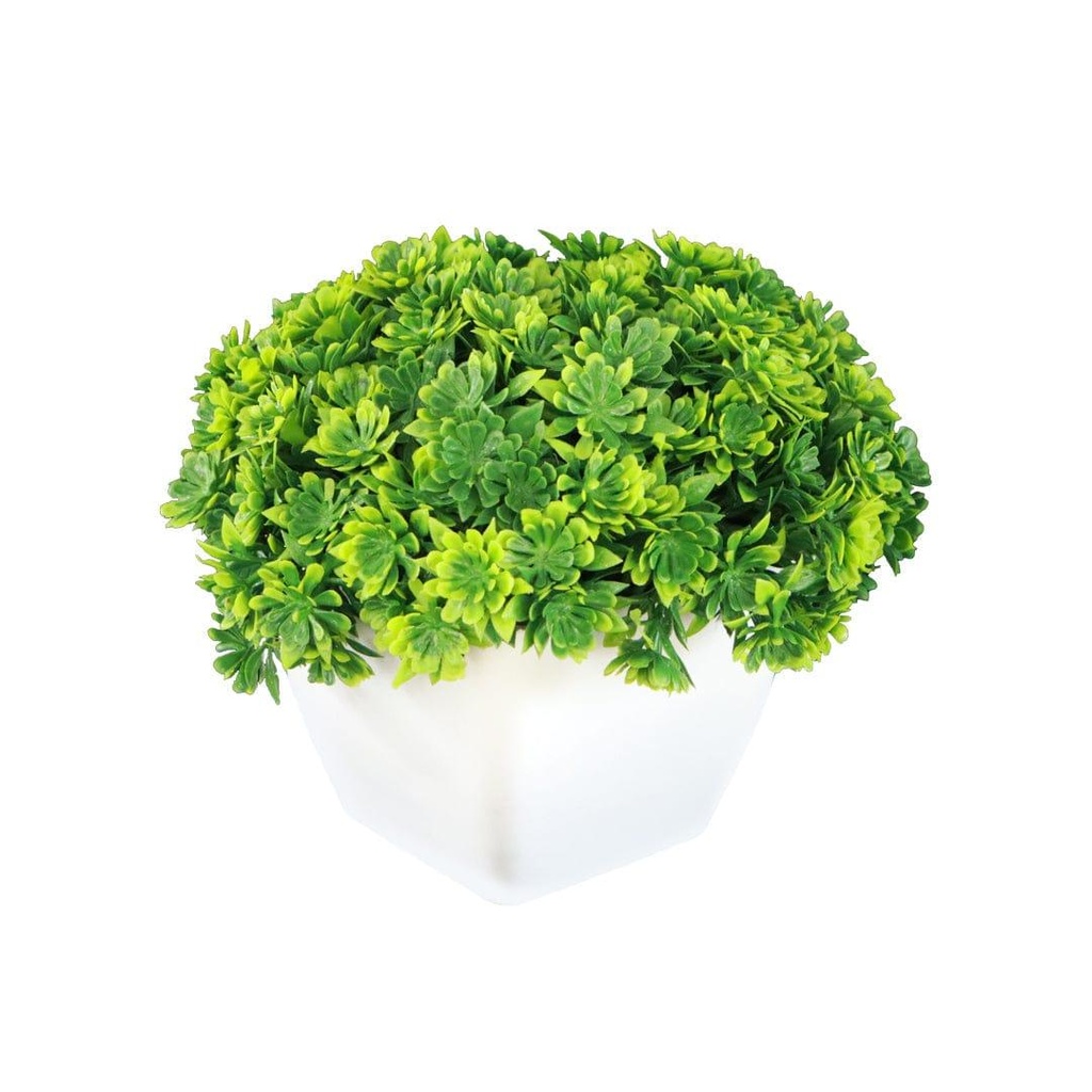 mushroomshrubGreen_primaryimage_02.jpg