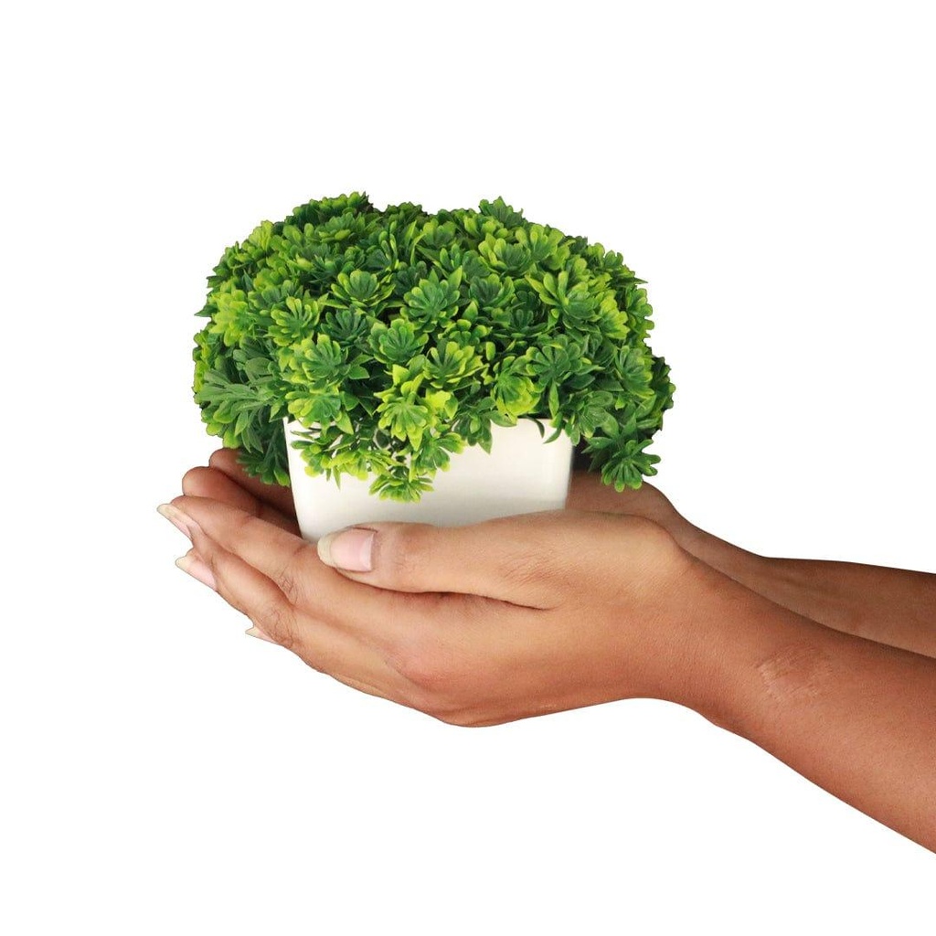 mushroomshrubGreen_primaryimage_03.jpg