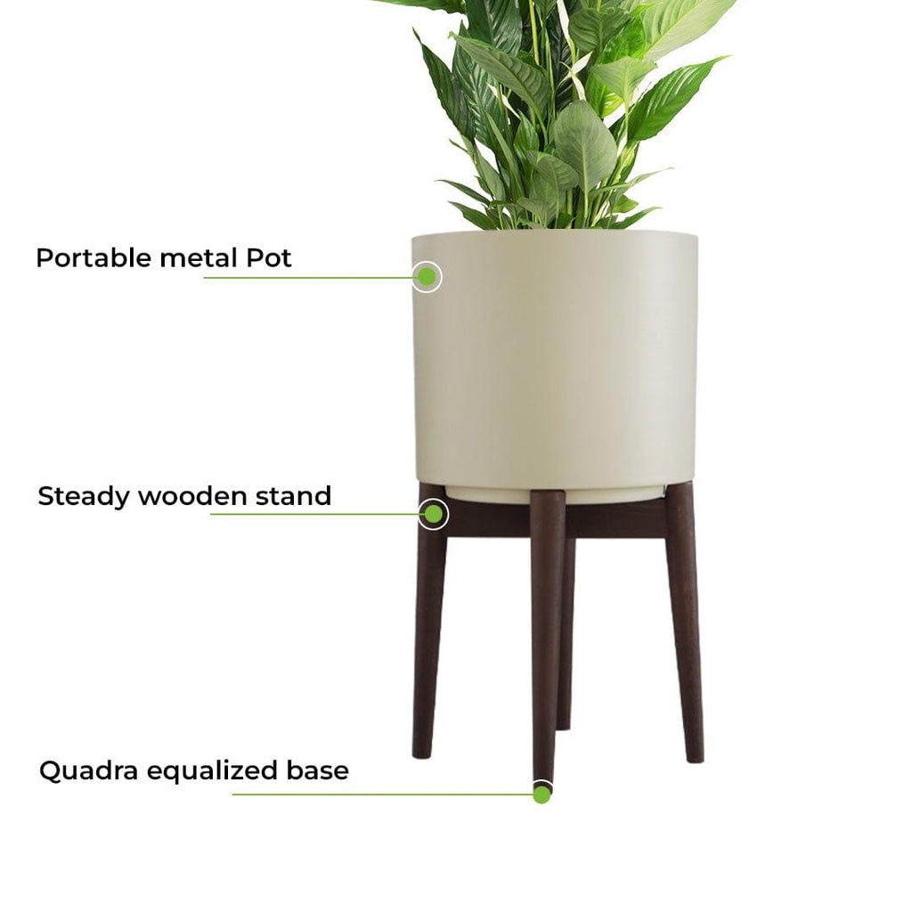 Blissstand_primaryimage_5.jpg