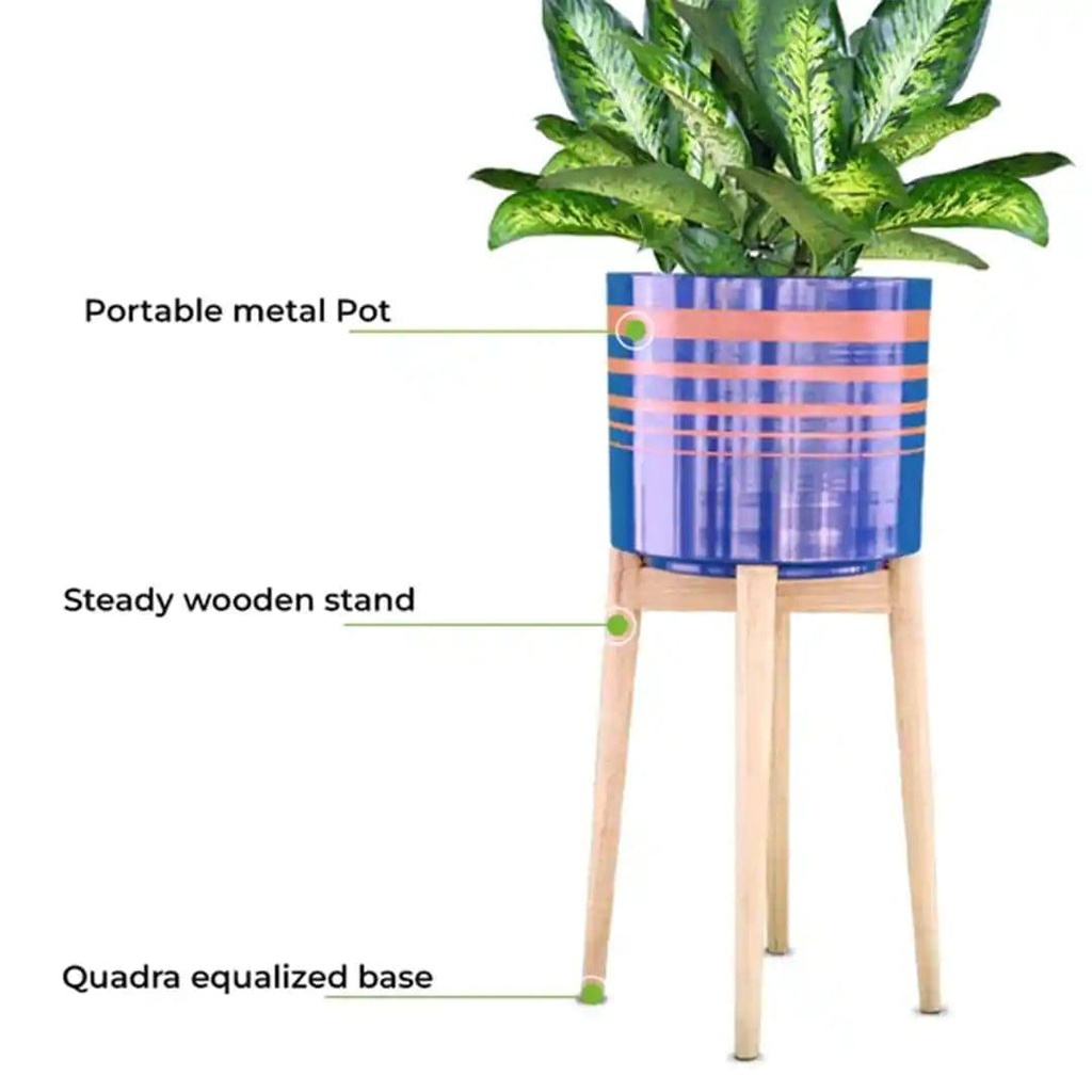 08_vista_stand_image_8.jpg