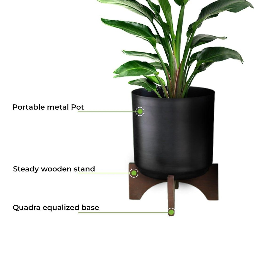 Lyricalplanterwithwoodenstand_primaryimage_7.jpg