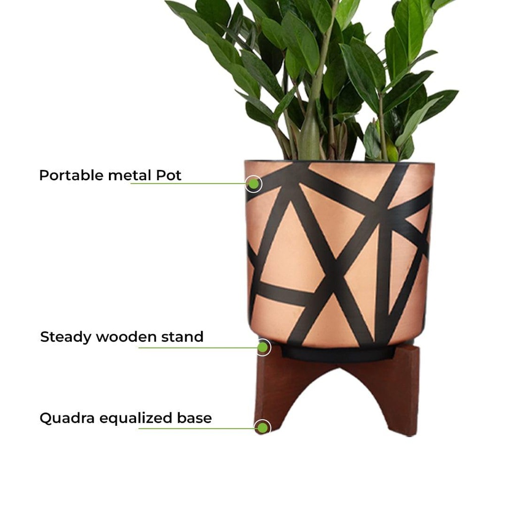 Sizzlestand_primaryimage_05.jpg