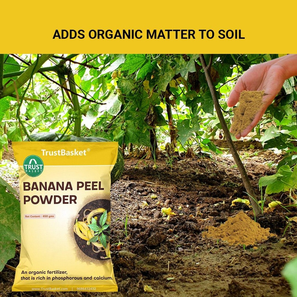 bananapeelpowder_benefitimage_4.jpg