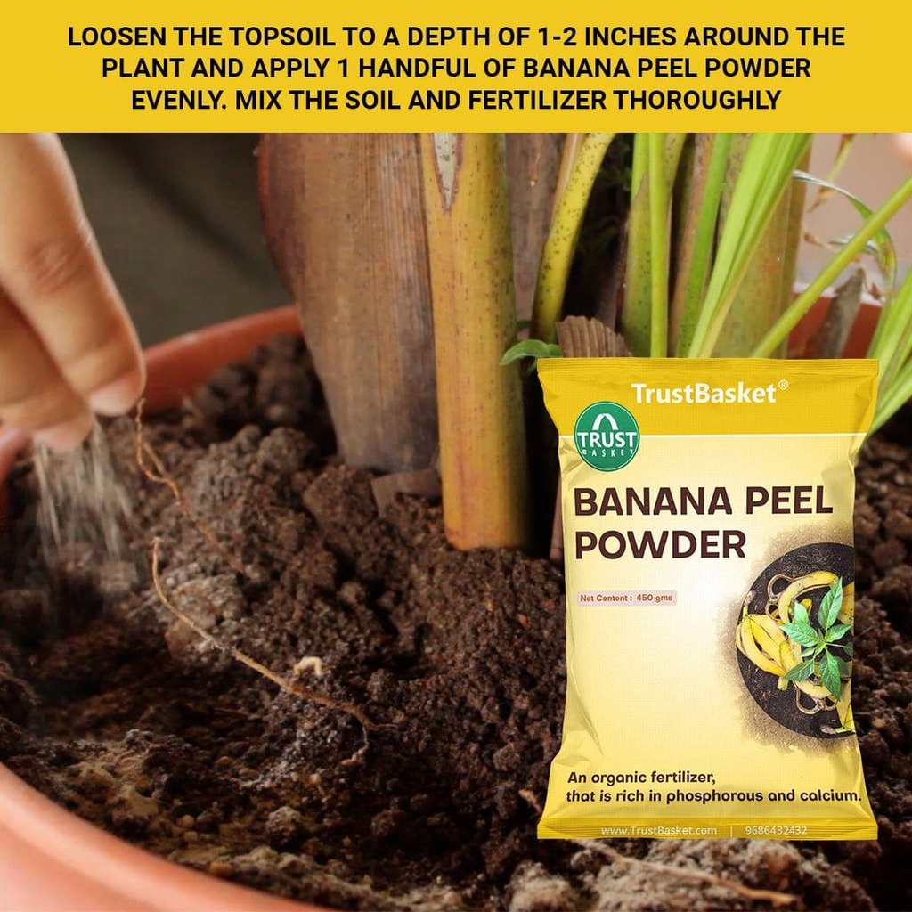 bananapeelpowder_benefitimage_5_16e7eeba-1c3f-4890-b7b9-322640fdbec4.jpg
