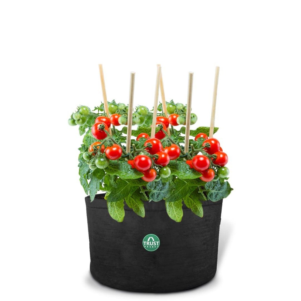 eatonroundfeltgrowbagsecondaryimage.jpg