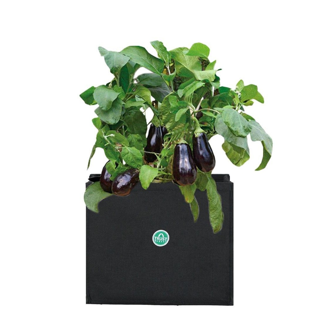 Rionasquarefeltgrowbag_secondaryimage.jpg