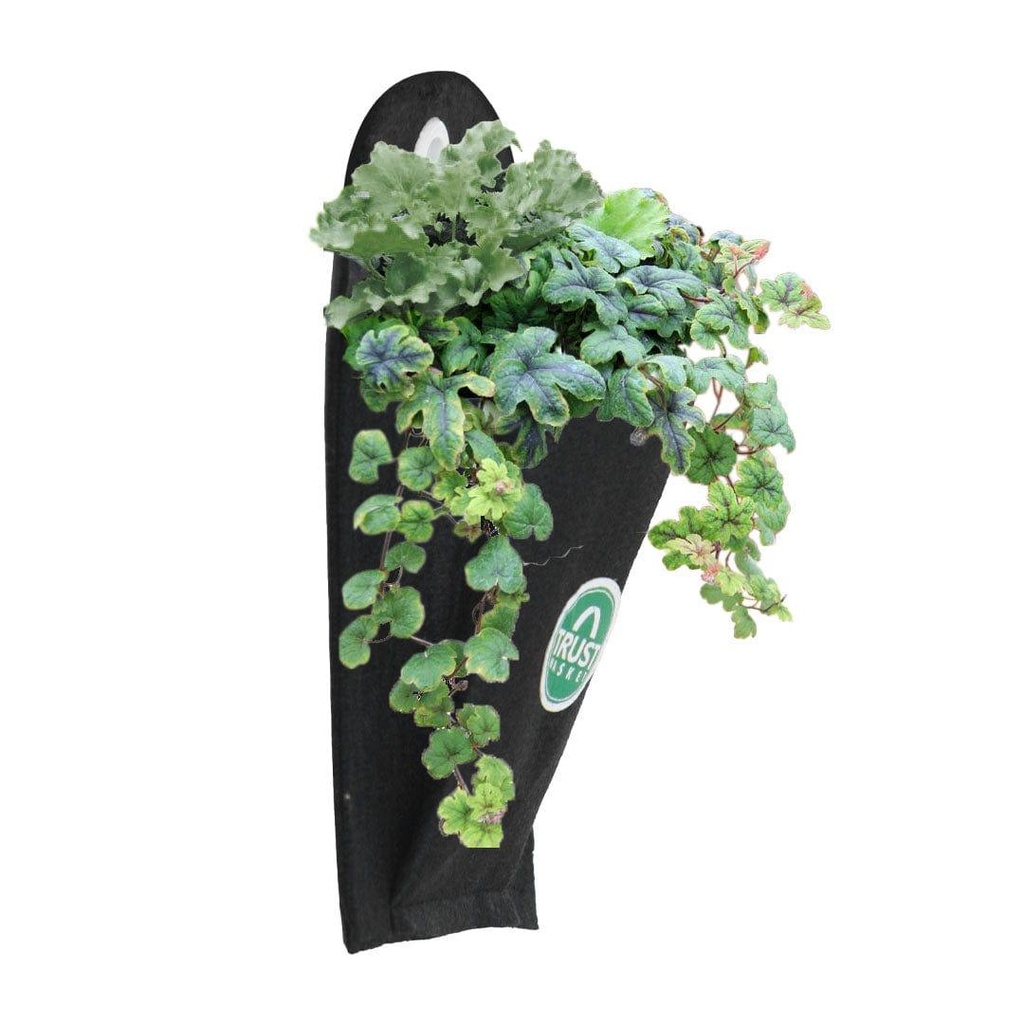 Gloryverticalpouch_primaryimage_secondaryimage_1_1.jpg
