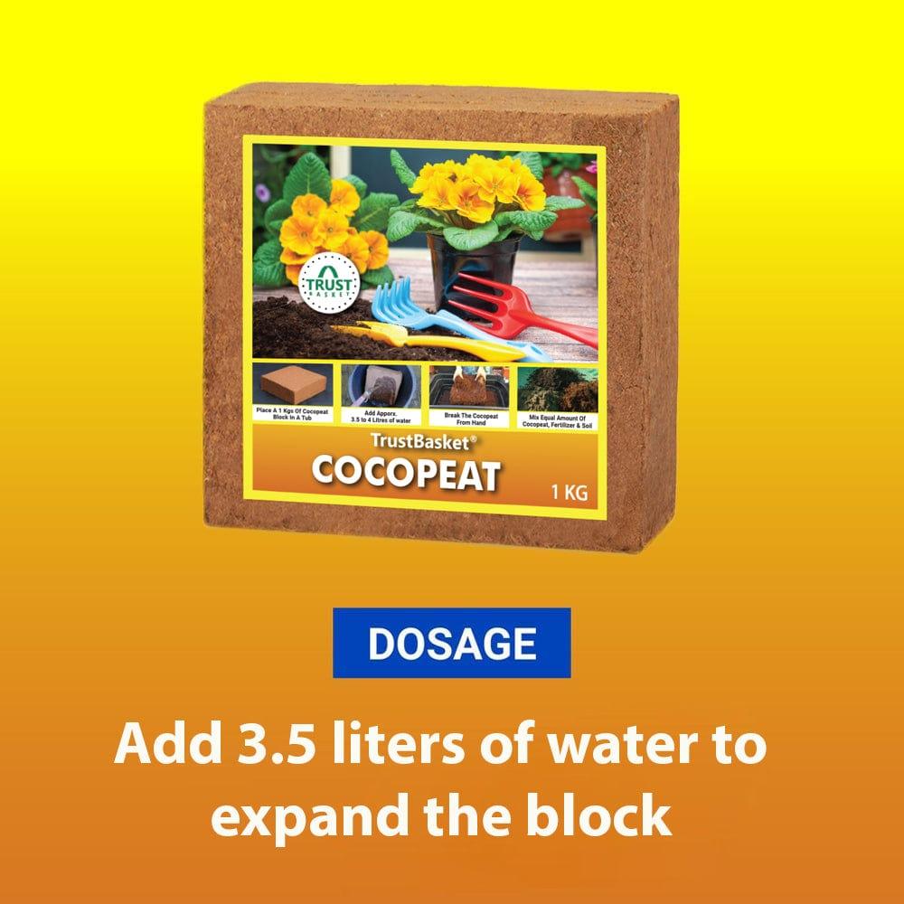 1kgcoirblogimage_4.jpg