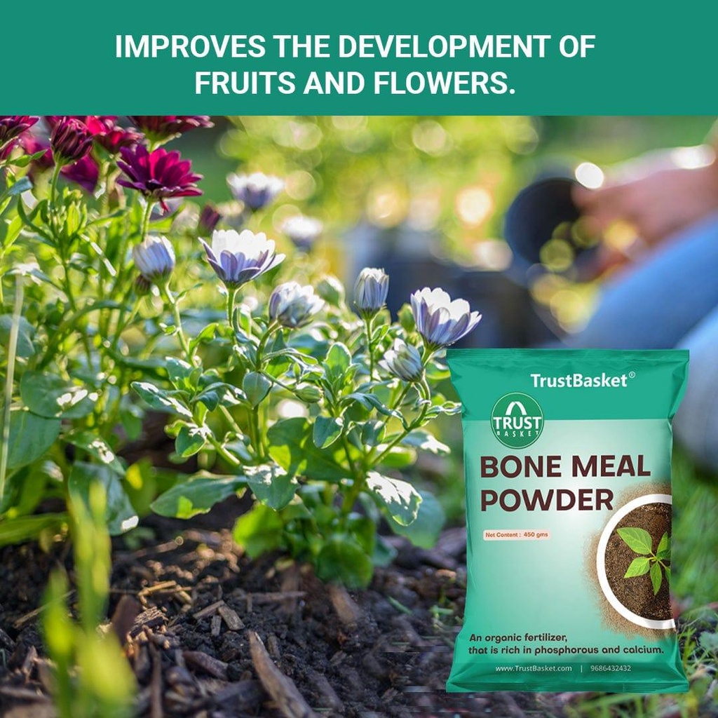 bonemeal-benfits-image_5.jpg