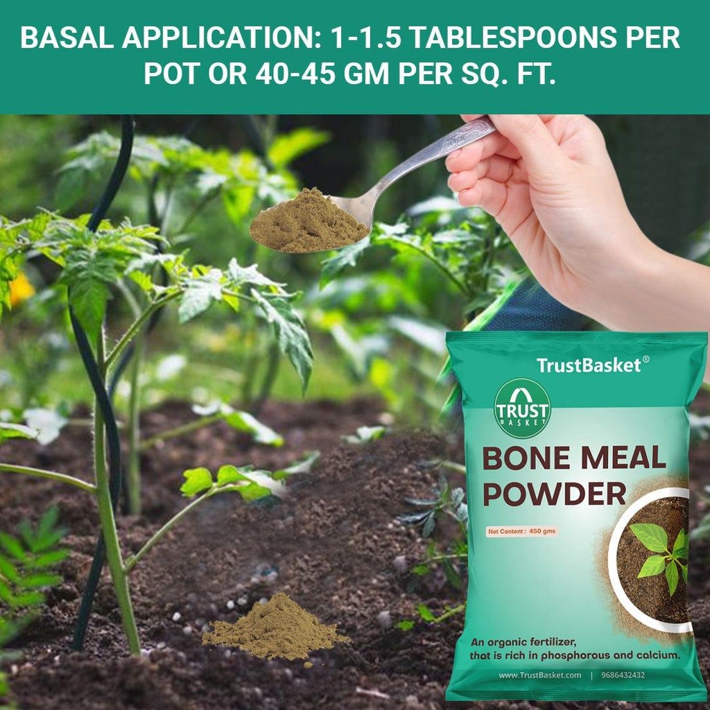 bonemeal-benfits-image_7.jpg