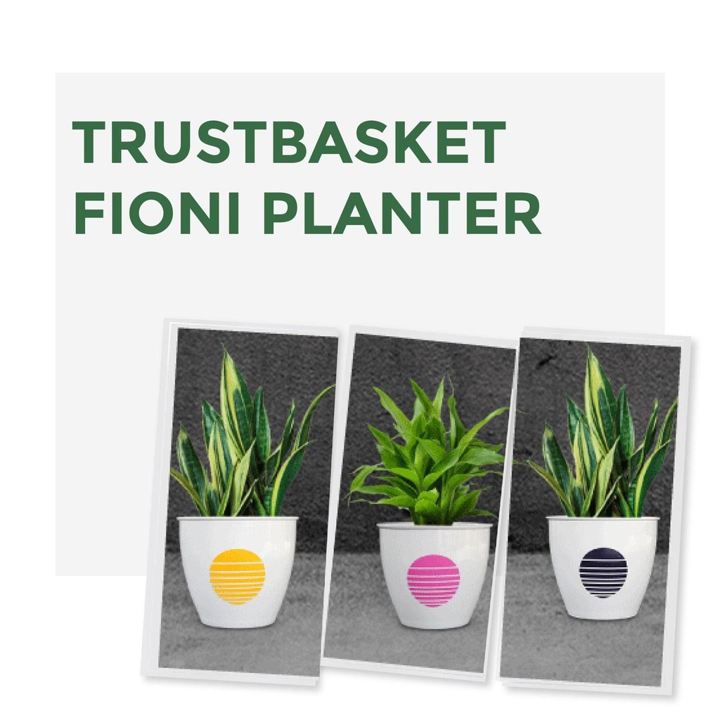 fioniplantera_forweb-01.jpg