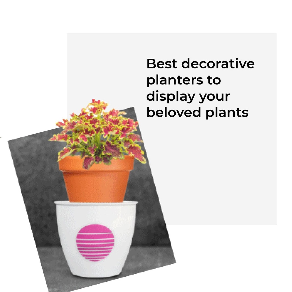 fioniplantera_forweb-04.jpg