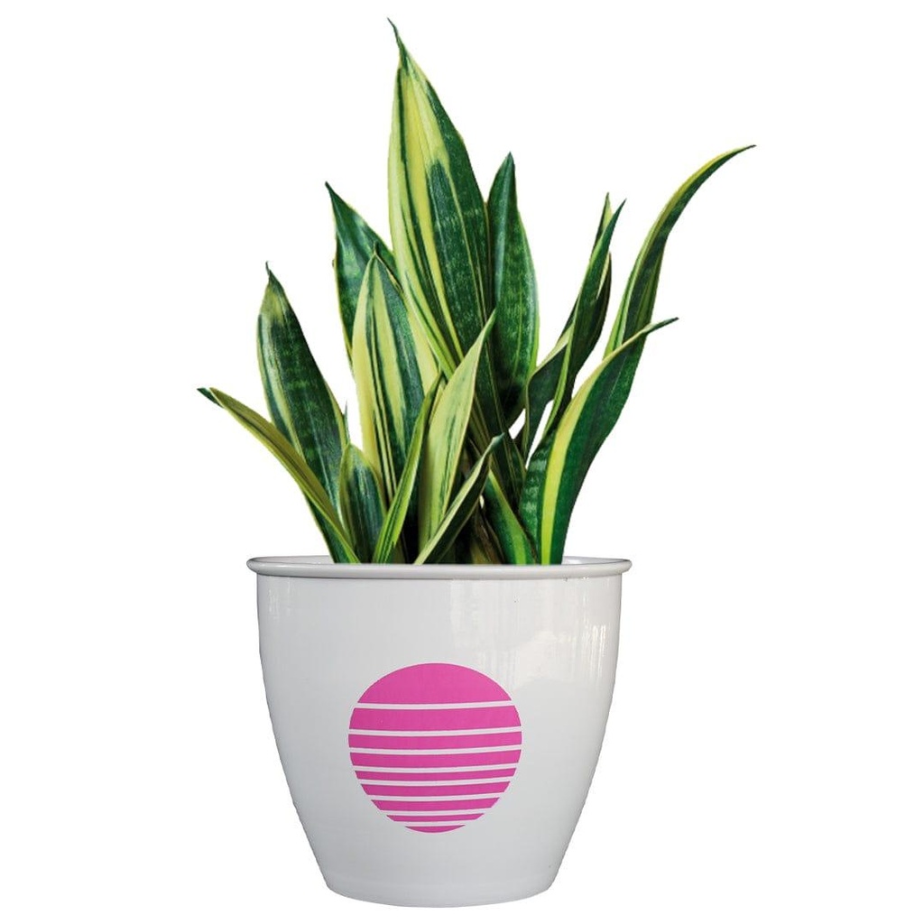 aromaplanterpink_secondaryimage_80084850-4cfb-45cf-b9c1-77812d113f98.jpg