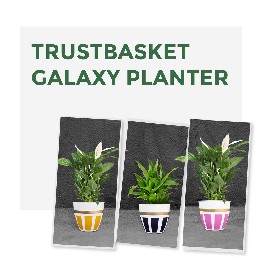 galaxyplantera_forweb-01.jpg