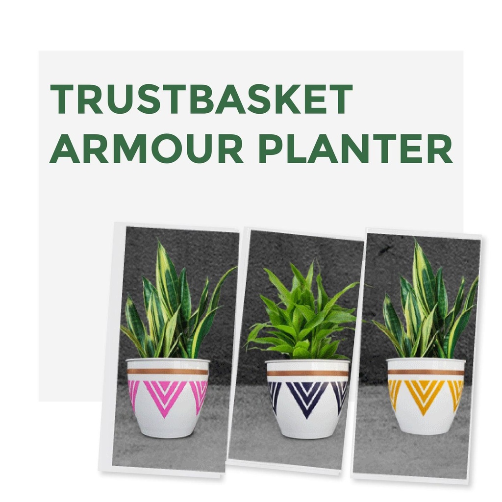 armourplantera_forweb-01.jpg