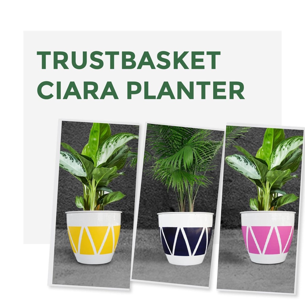 ciaraplantera_forweb-01.jpg