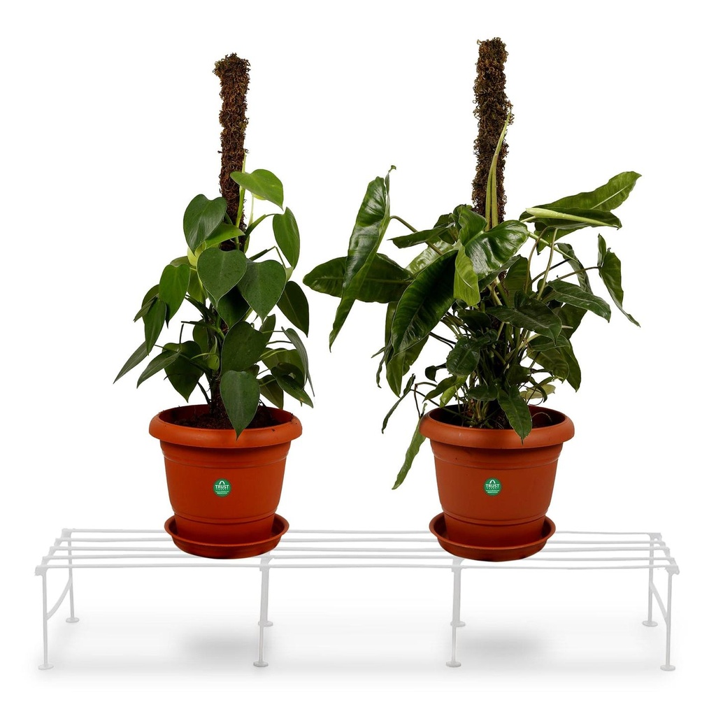 INDIGO-PLANTER-WHITE_SECONDARYIMAGE.jpg
