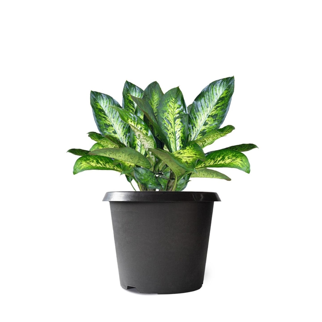 bhovi_pots_Black_16inch_secondaryimage.jpg