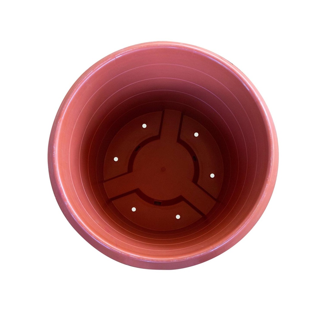 16inchtoviewbrown.jpg