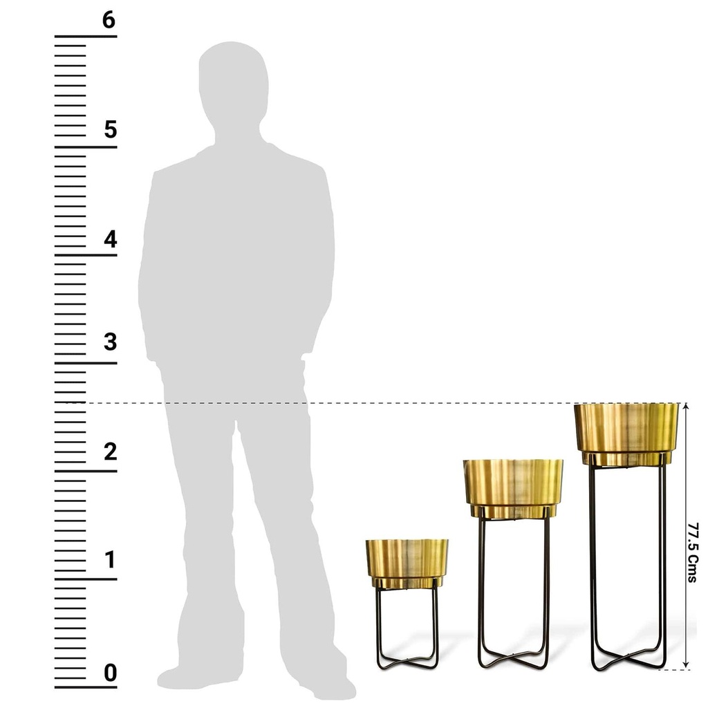 StatuesDimensions-01_2.jpg