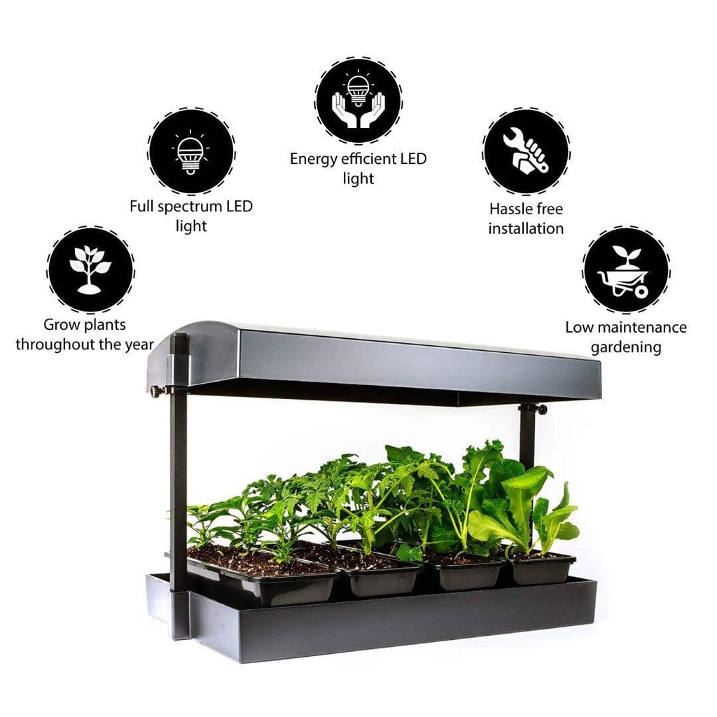 indoor-jungle_grow-light-benefits-images.jpg