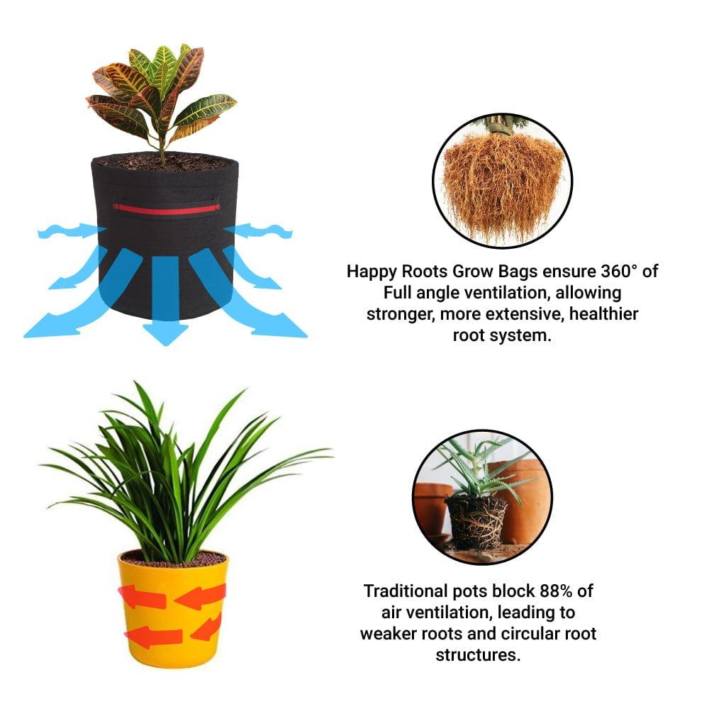 Happy-roots-Secondary-image_8ba0dd26-c2d8-447c-b54f-5d73099b2790.jpg