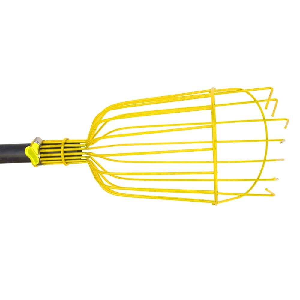 Fruit-Picker-3_0d08d58b-9162-40b4-a24b-e1a4e6e47358.jpg