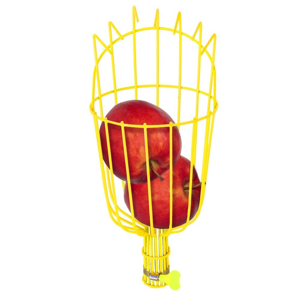 Fruit-Picker-6.jpg
