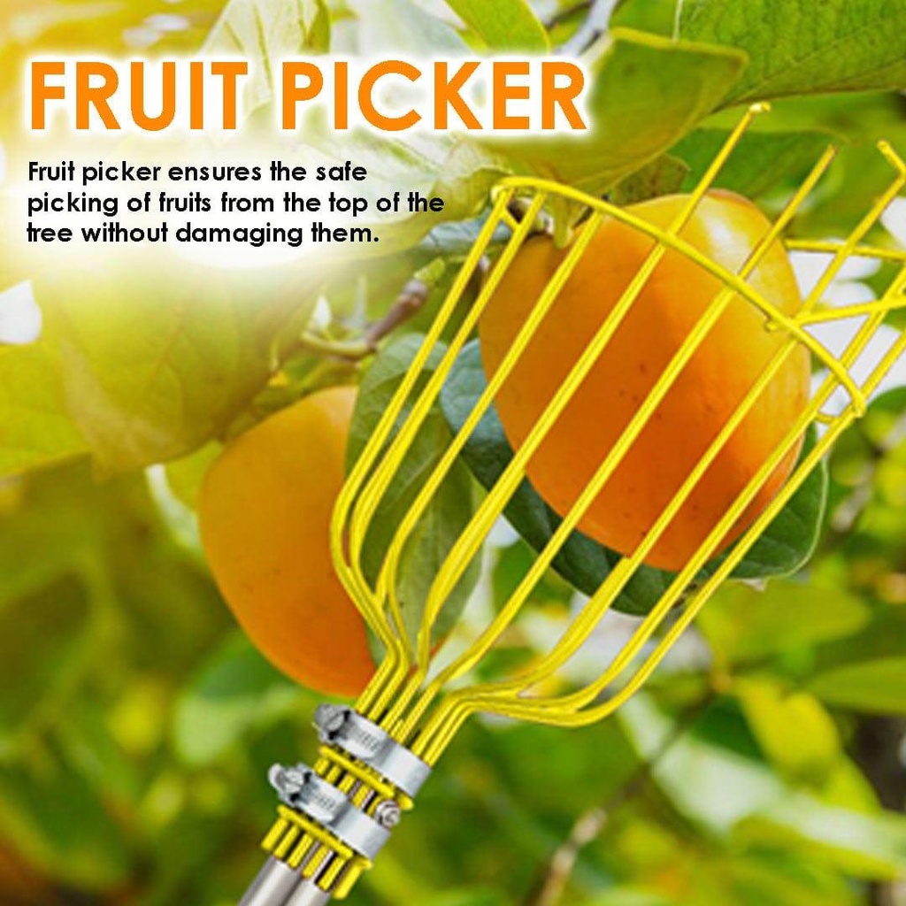 fruitpickerweb.jpg
